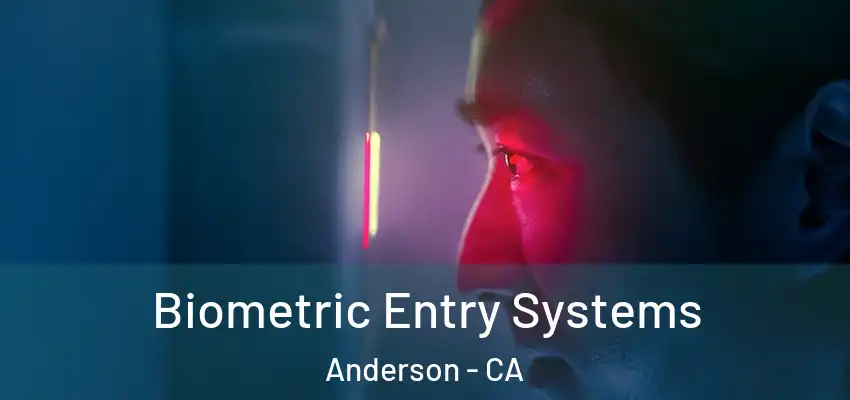  Biometric Entry Systems Anderson - CA