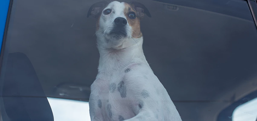 Car Lockout Solutions in Anderson, California